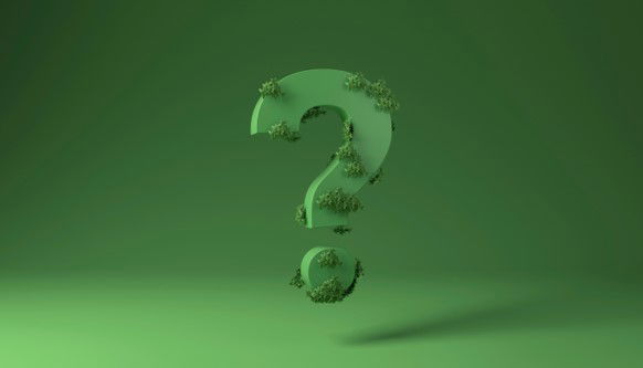 30 Most Frequently Asked Questions about Lasting Powers of Attorney (LPA)