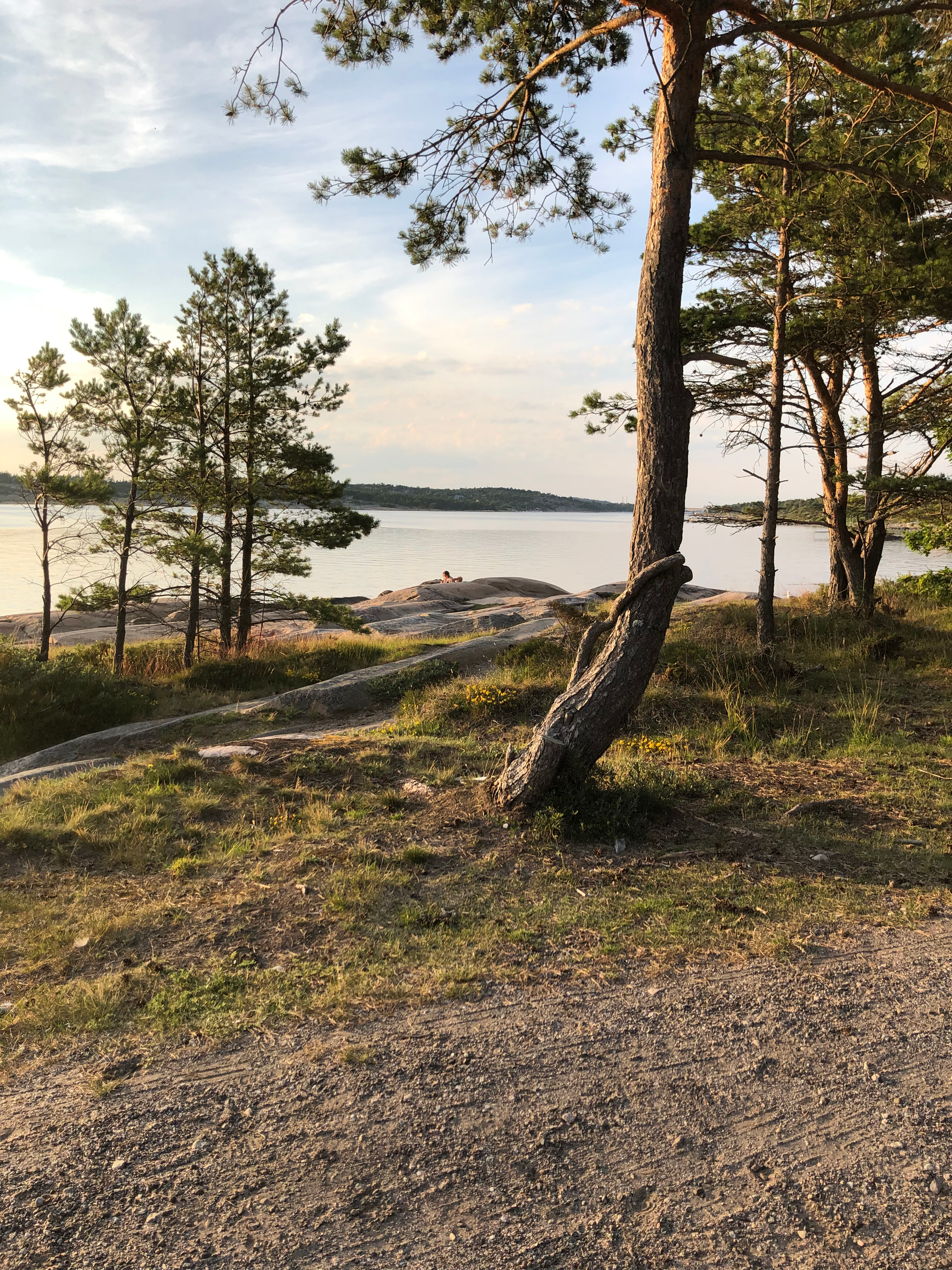 Store og små overganger i livet