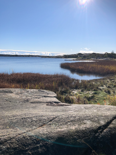 Tiden leger alle sår