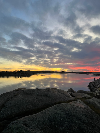Desember: Mellom forventninger og virkelighet