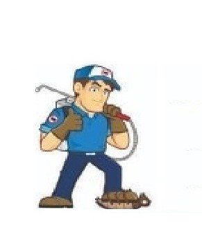 SERVICII D.D.D. LA FIRME DIN  BRAILA