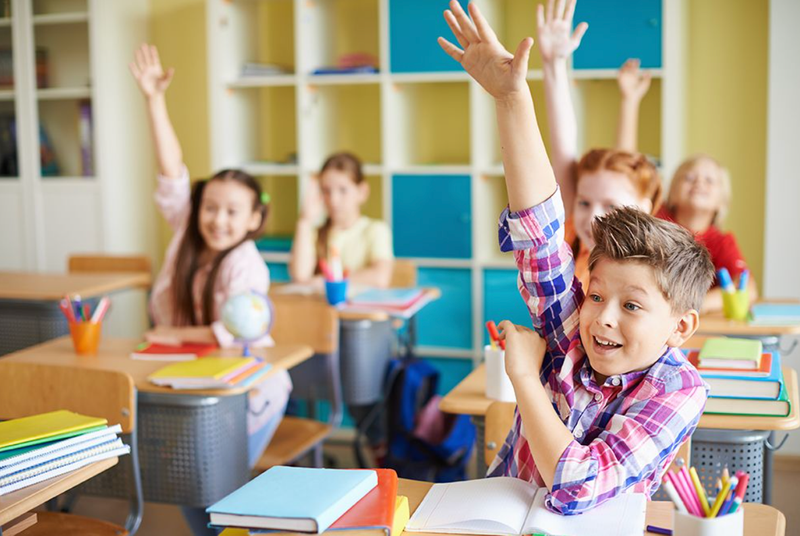 The Dutch Education System