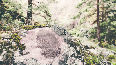 בידול, או טביעת האצבע הייחודית לנו?