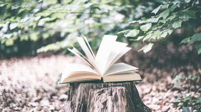 להתרגש מעצמי דרך סיפור חדש