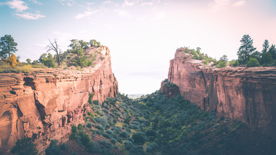 בין הרצוי למצוי: מה עושים עם פער?