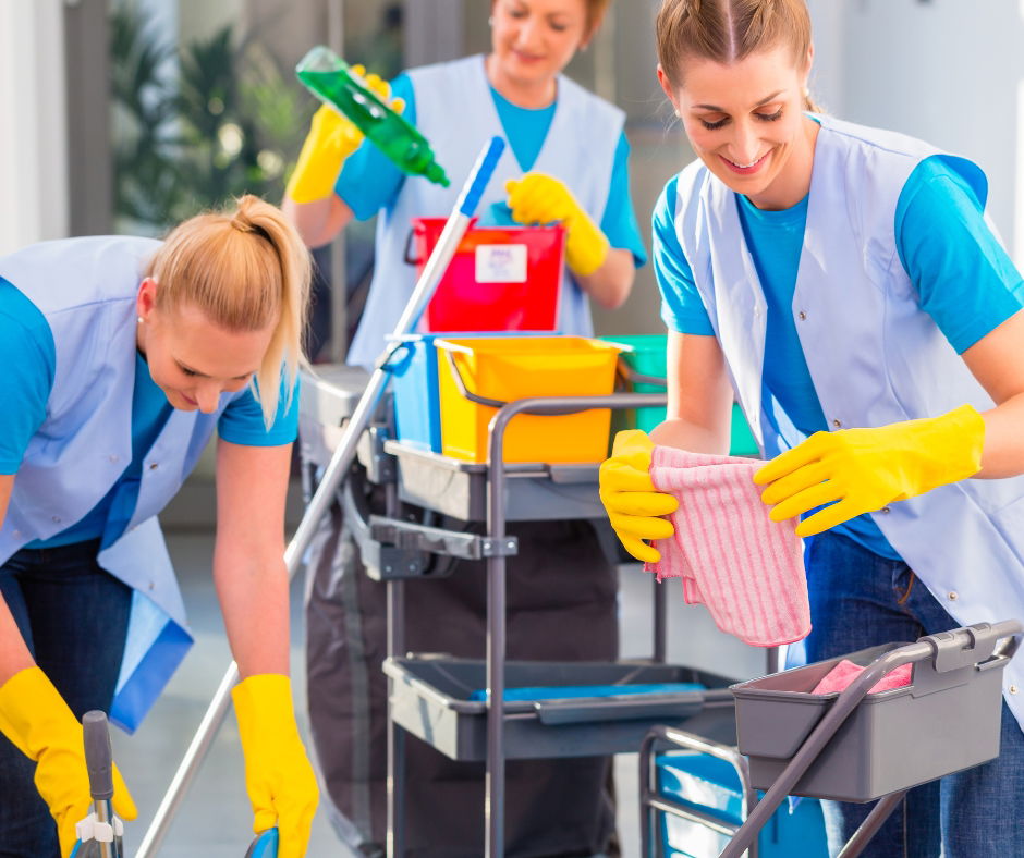 شغالات بالساعة جنوب الرياض