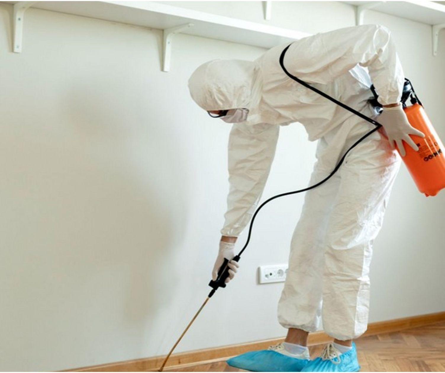 شركة رش مبيدات بالخرج