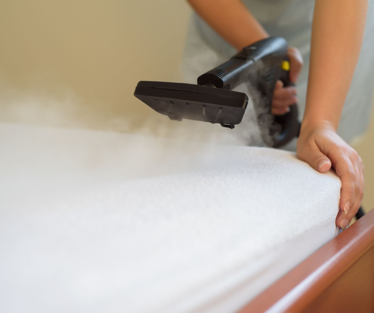 شركة تنظيف مجالس بالطائف