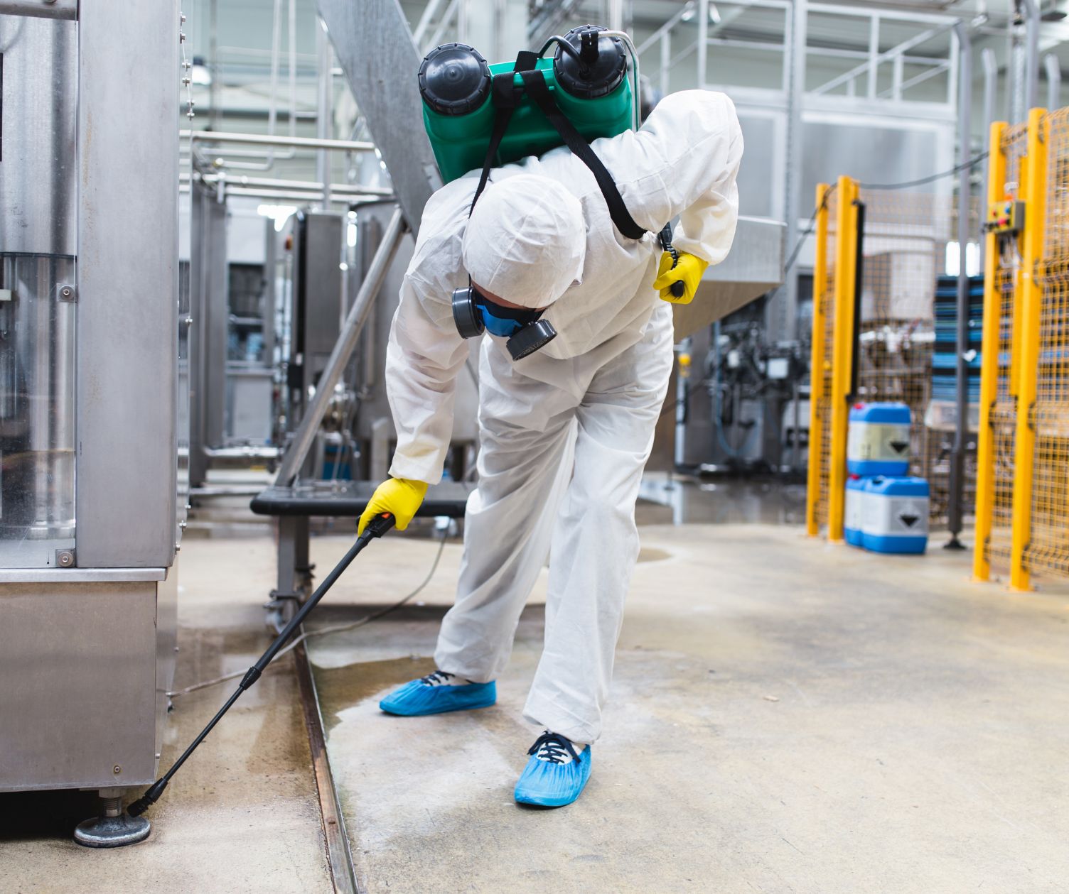 شركة مكافحة حشرات شمال الرياض