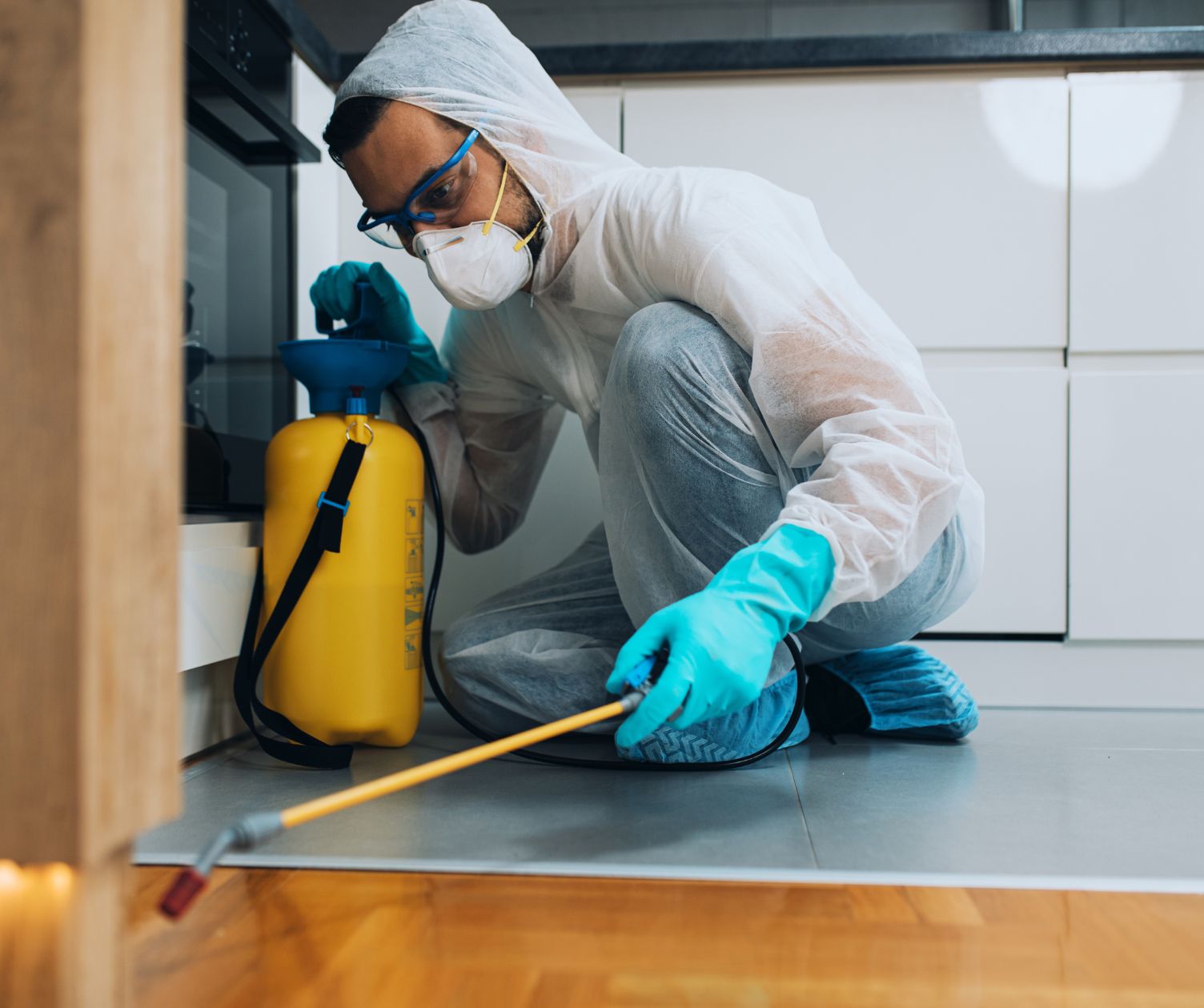 شركة مكافحة حشرات شرق الرياض