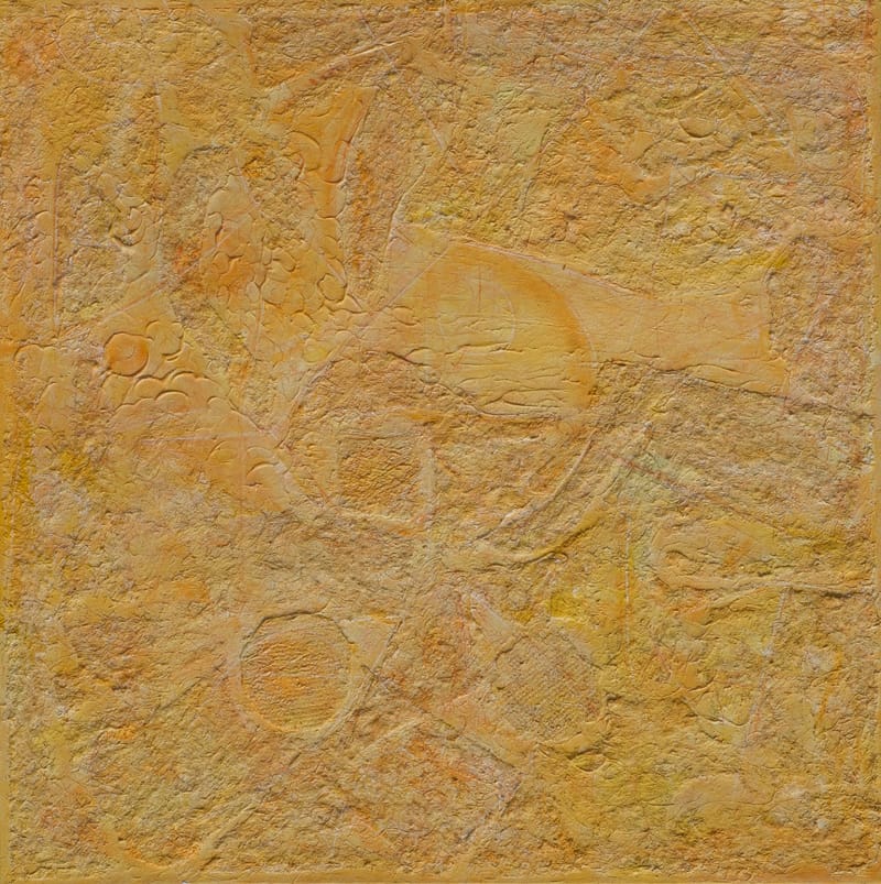 漂泊有季 董一点