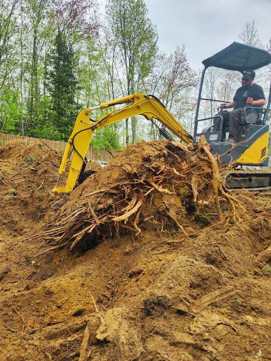 Excavation et dessouchage