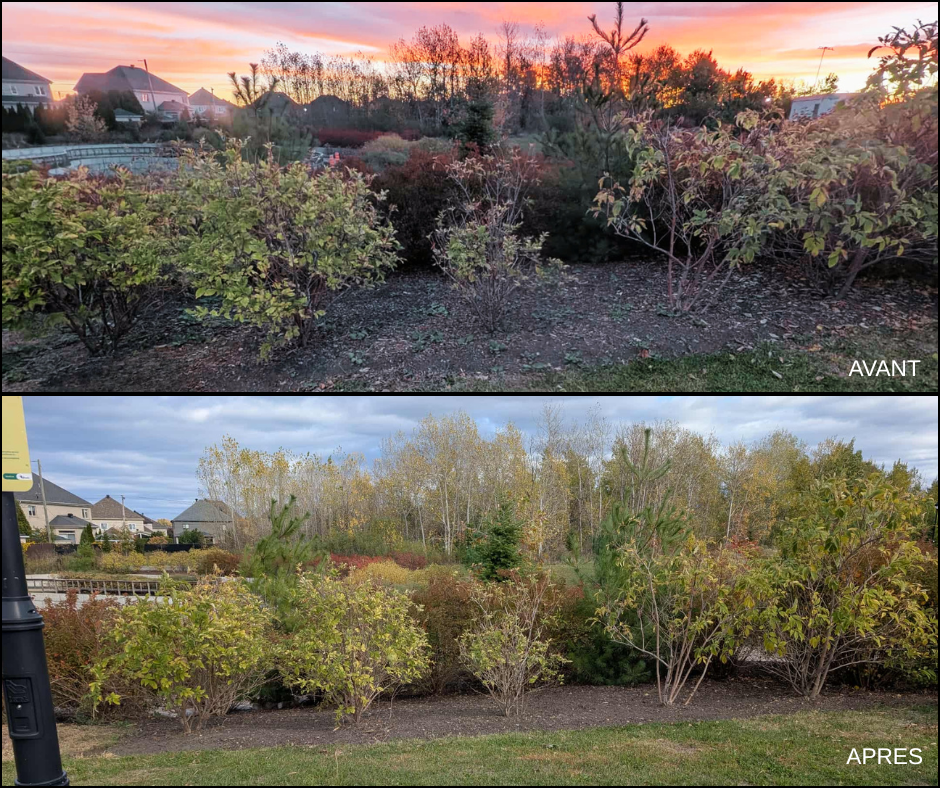 Entretien des platebandes du Bassin de rétention du Parc Boutiller, Laval