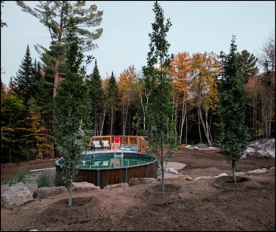 Plantation d'arbre de petit et gros calibre