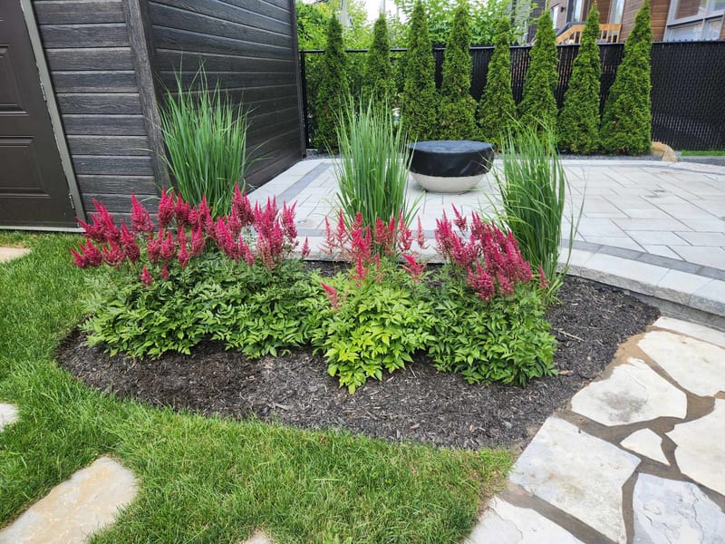 Aménagement paysager