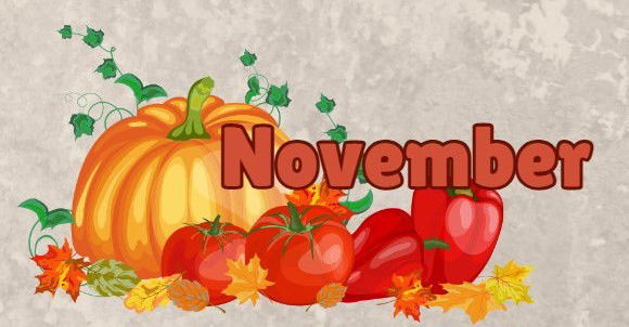 November 2024 Newsletter