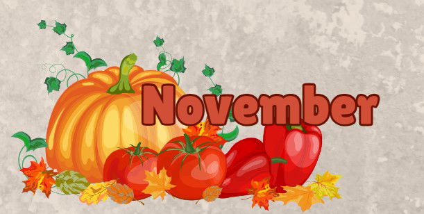 November Newsletter