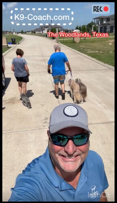 Training with a guarantee image