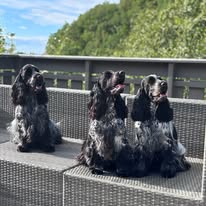 Vi har vært på langtur!