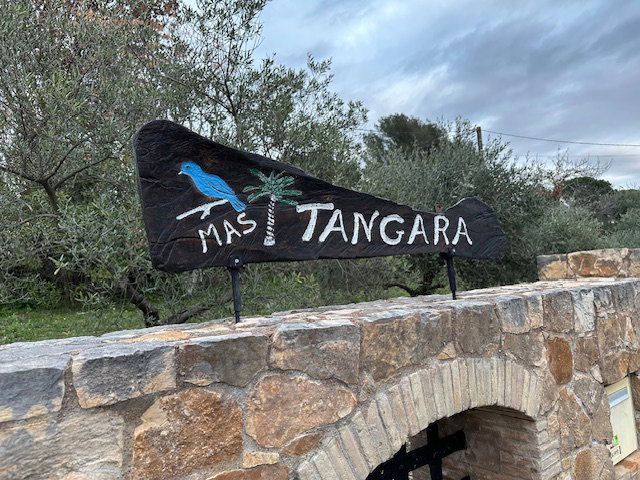 Mas Tangara