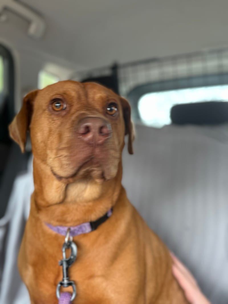 Skye