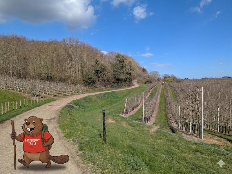 Pilgrims Progress: Chilham to Canterbury