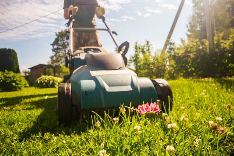 Landscaping