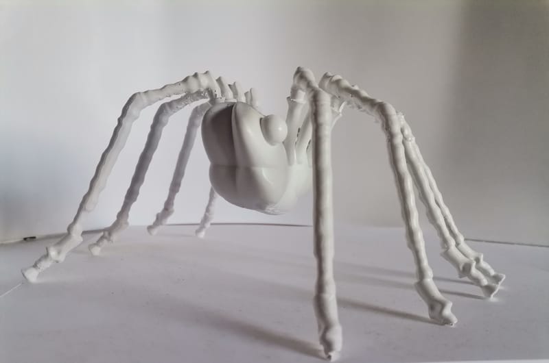 ARAIGNEE grande patte blanche