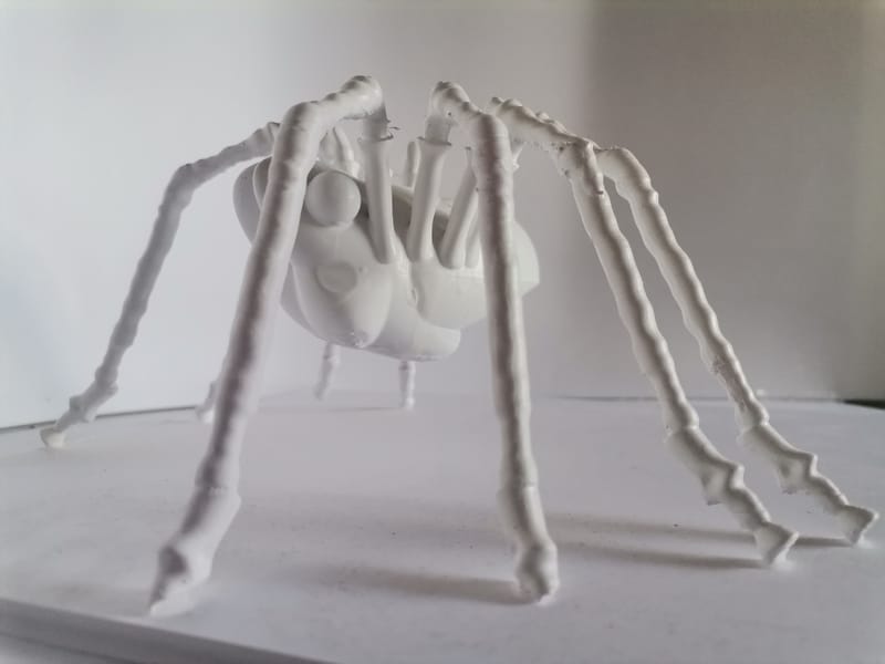 ARAIGNEE grande patte blanche