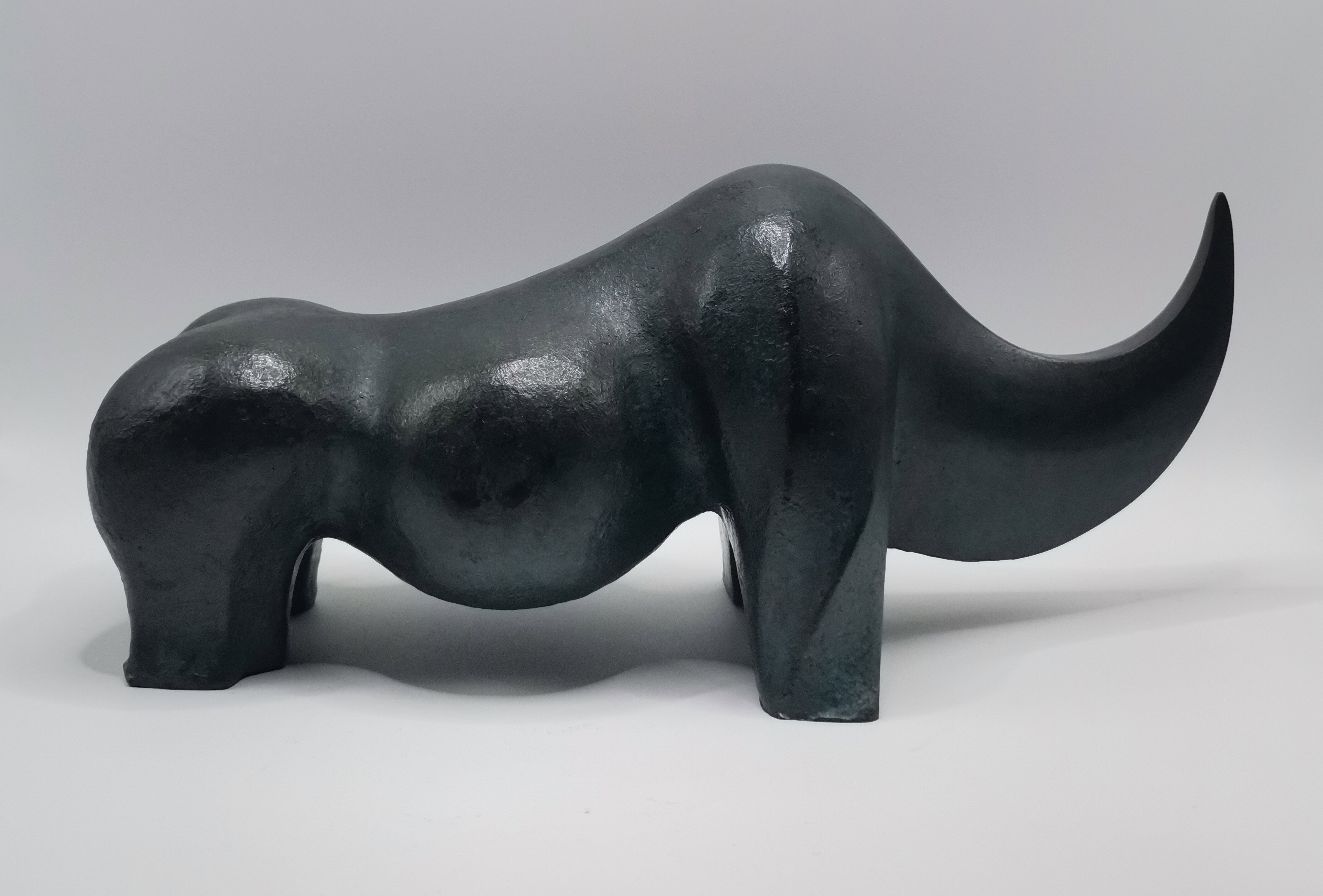 RHINO BRONZE 2005
