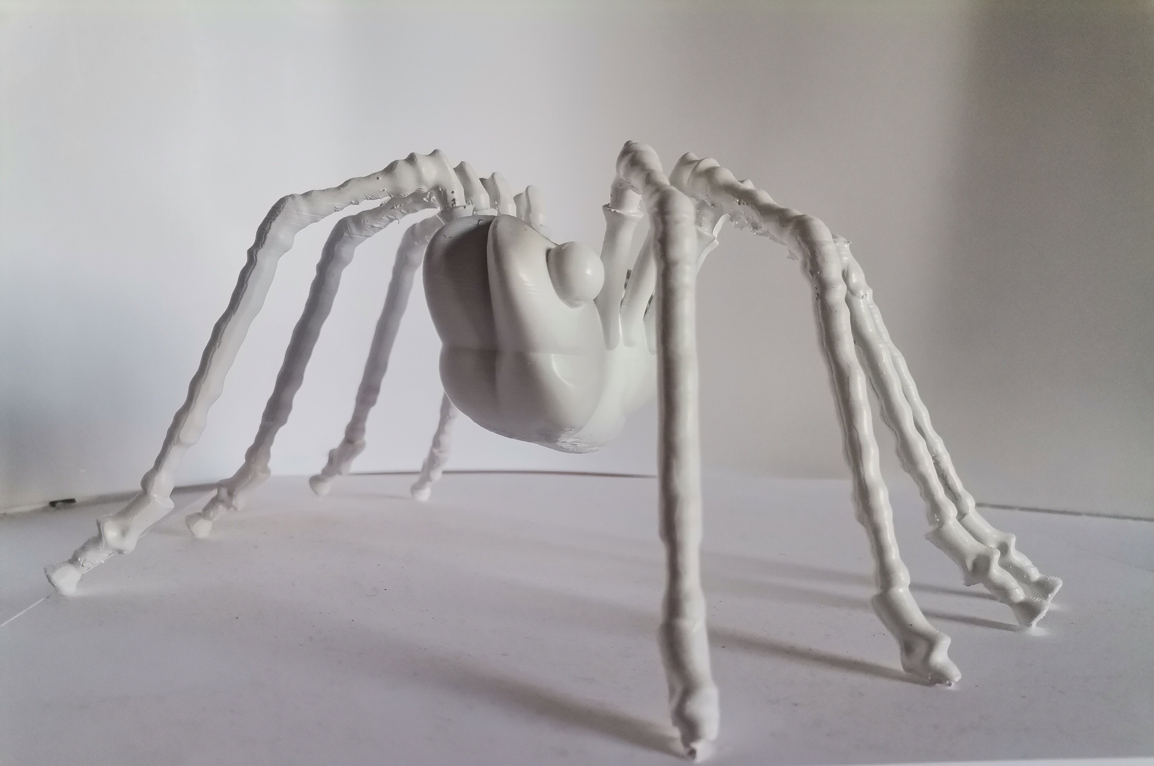 SPIDER big white leg