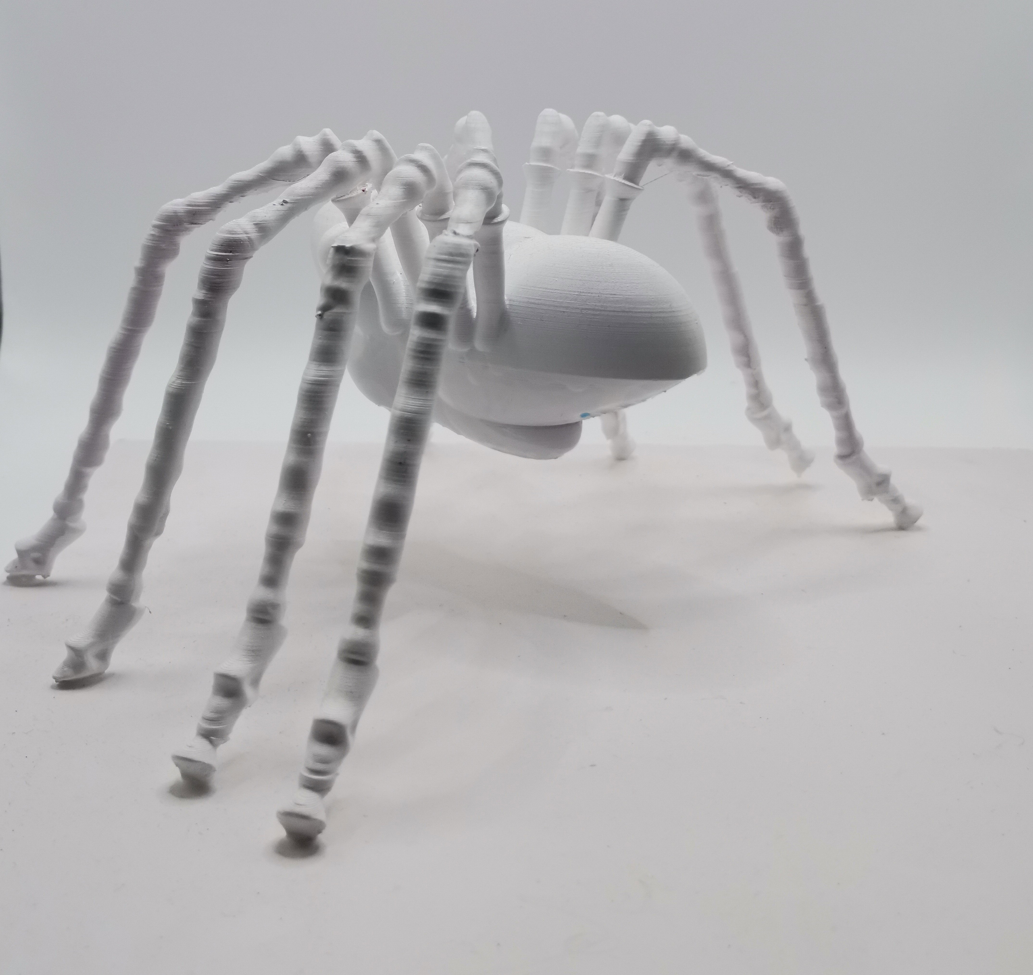 SPIDER big white leg