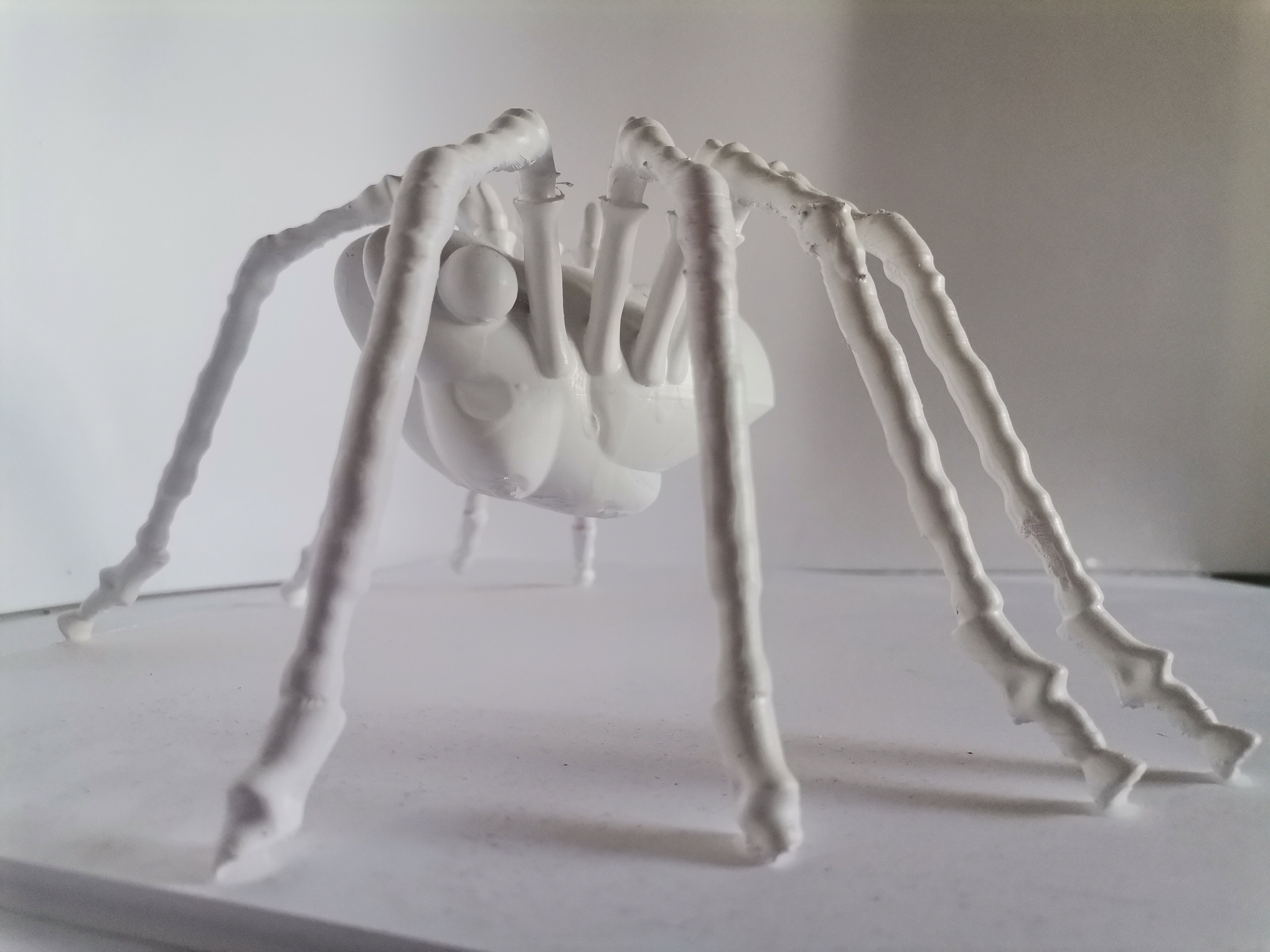 SPIDER big white leg