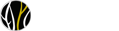 Home Art Concept