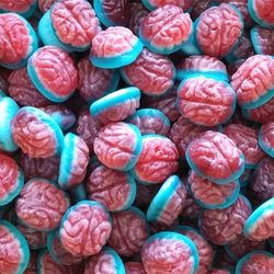 ducelplus cerveau lisse