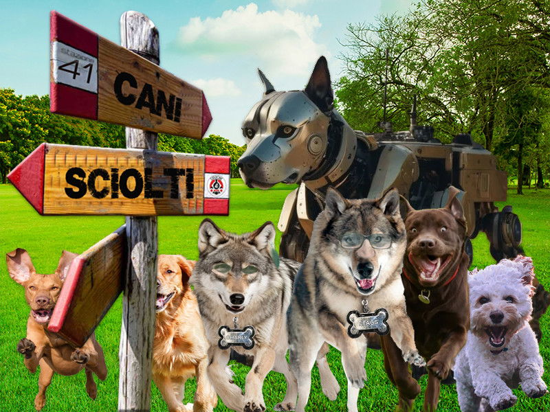 Arriva "Cani sciolti" - La nuova trasmissione di Charly & Etacs