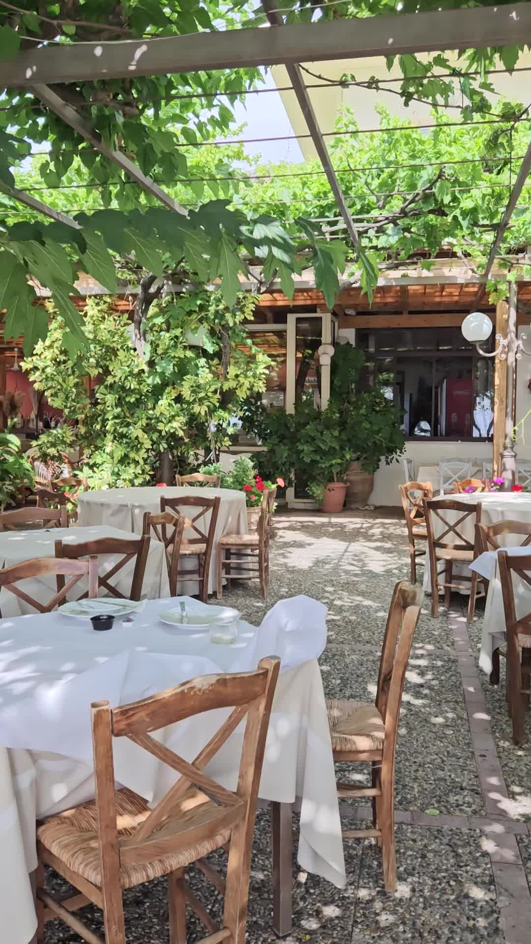 גינת המלון היפהפיה על הים