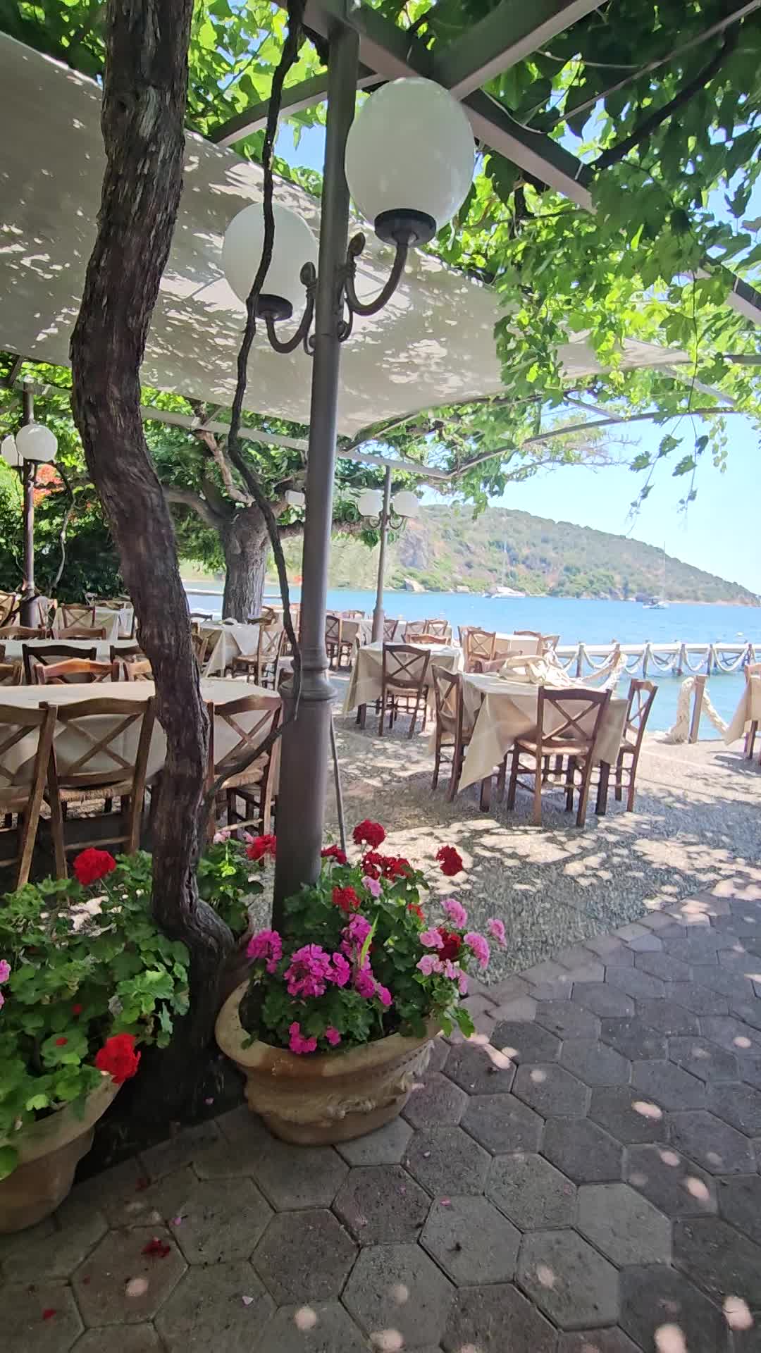 פינוק פינוק פינוק