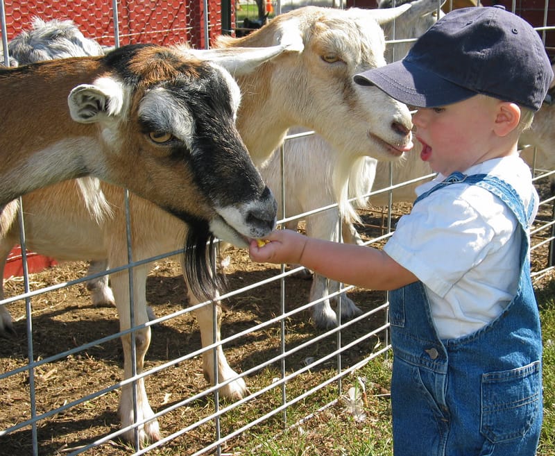 Sorties Nature Enfants