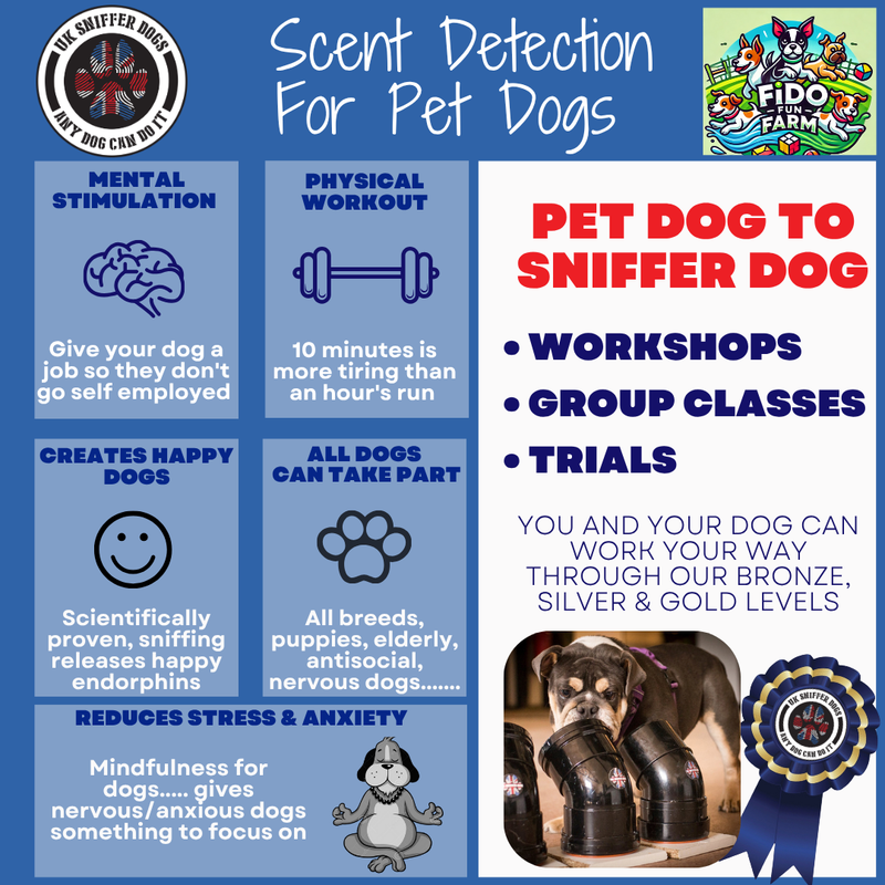 Sunday Silver UK Sniffer Dog Course