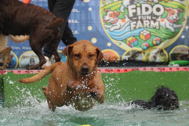March Unlimited heated indoor pool