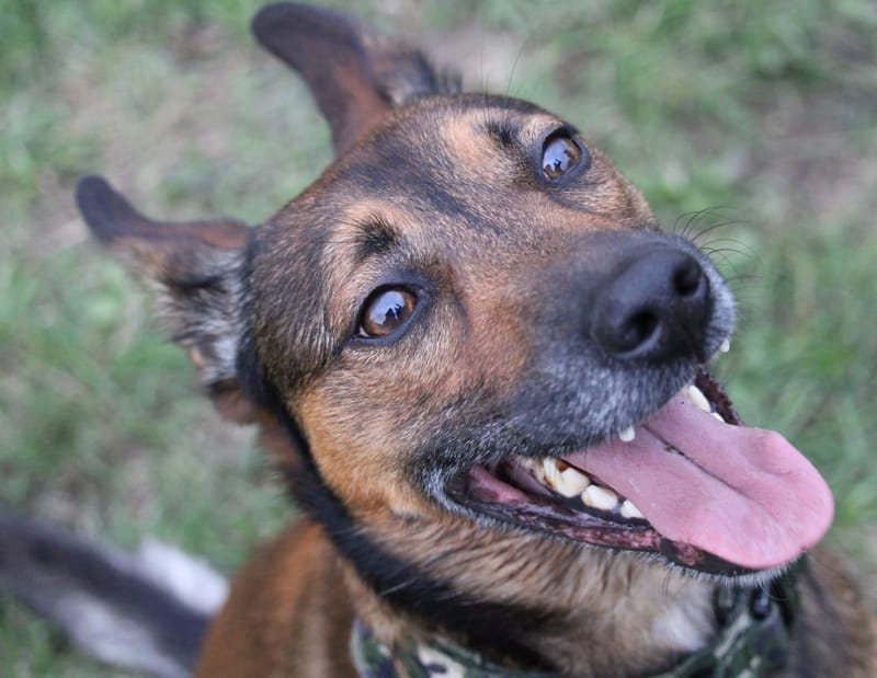 January Unlimited field