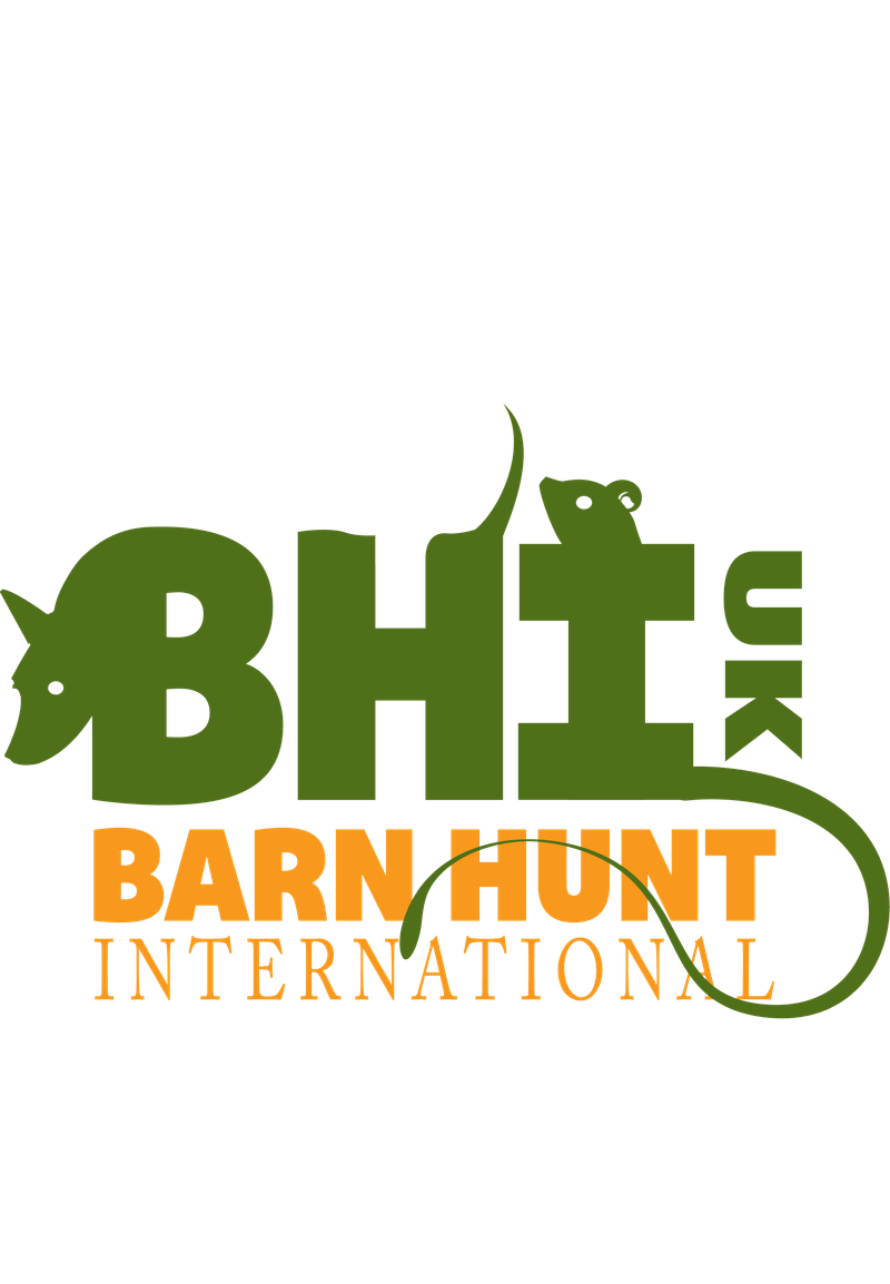 Barnhunt Introduction