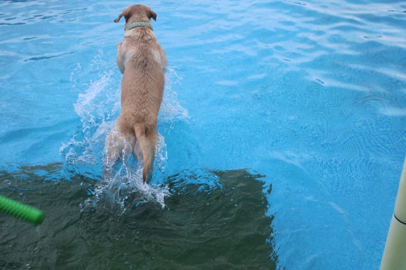 Packages (Please read booking Instructions and ignore the date on the image