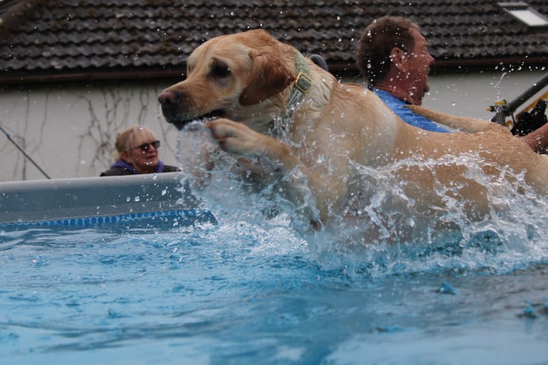 May Ultimate Unlimited Pool, Field and Enrichment