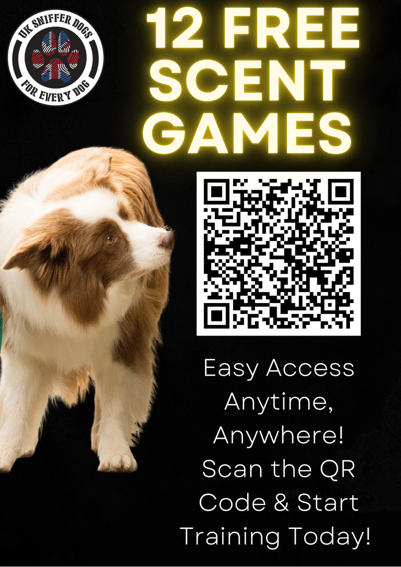 Bronze UK Sniffer Fast Track at Fido's