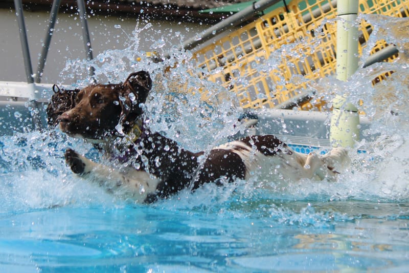 July Unlimited Indoor or Outdoor Pool
