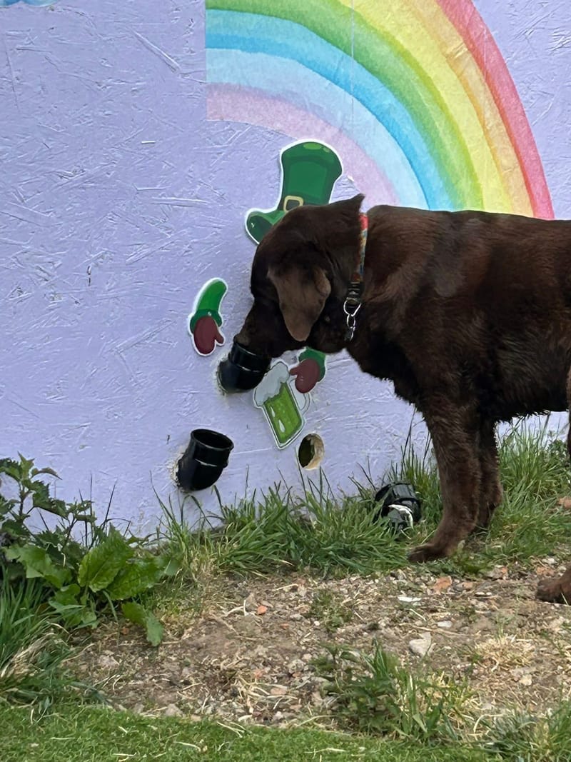 July Unlimited Field or Enrichment Centre