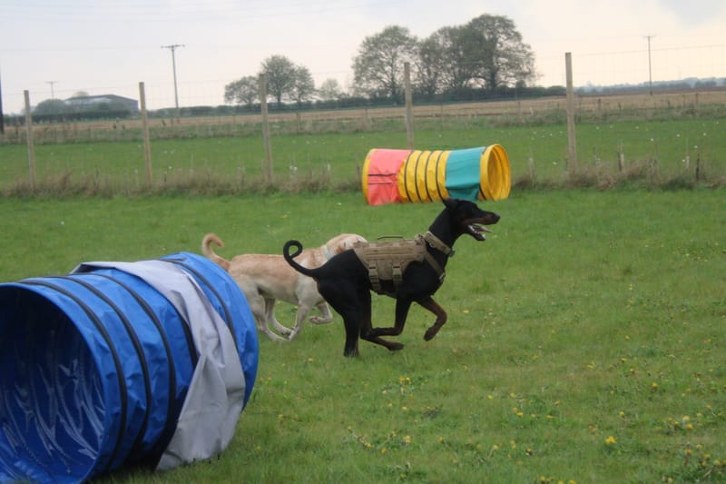 June Unlimited Field Sale!