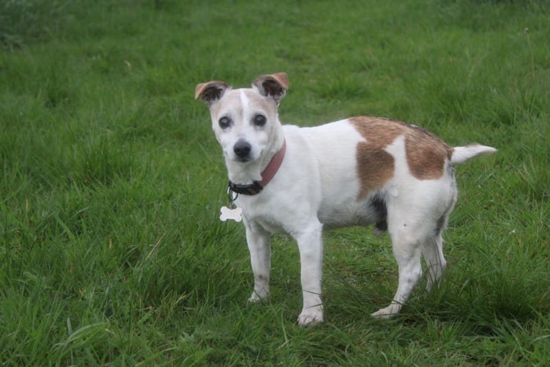 Unlimited Field August